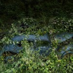 ParadiseParking_15_peterlippmann