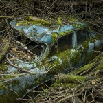 ParadiseParking_14_peterlippmann