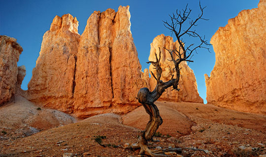 Bryce-Canyon_1 Bryce-Canyon_1