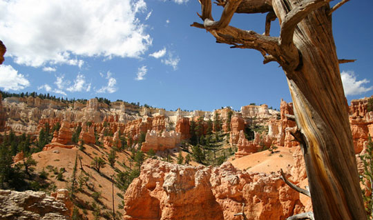 Bryce-Canyon_5 Bryce-Canyon_5